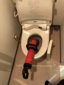 toilet everlinks 004