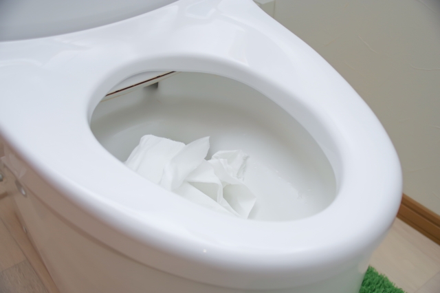 トイレつまり・配管（排水管）のつまりの原因と対処法