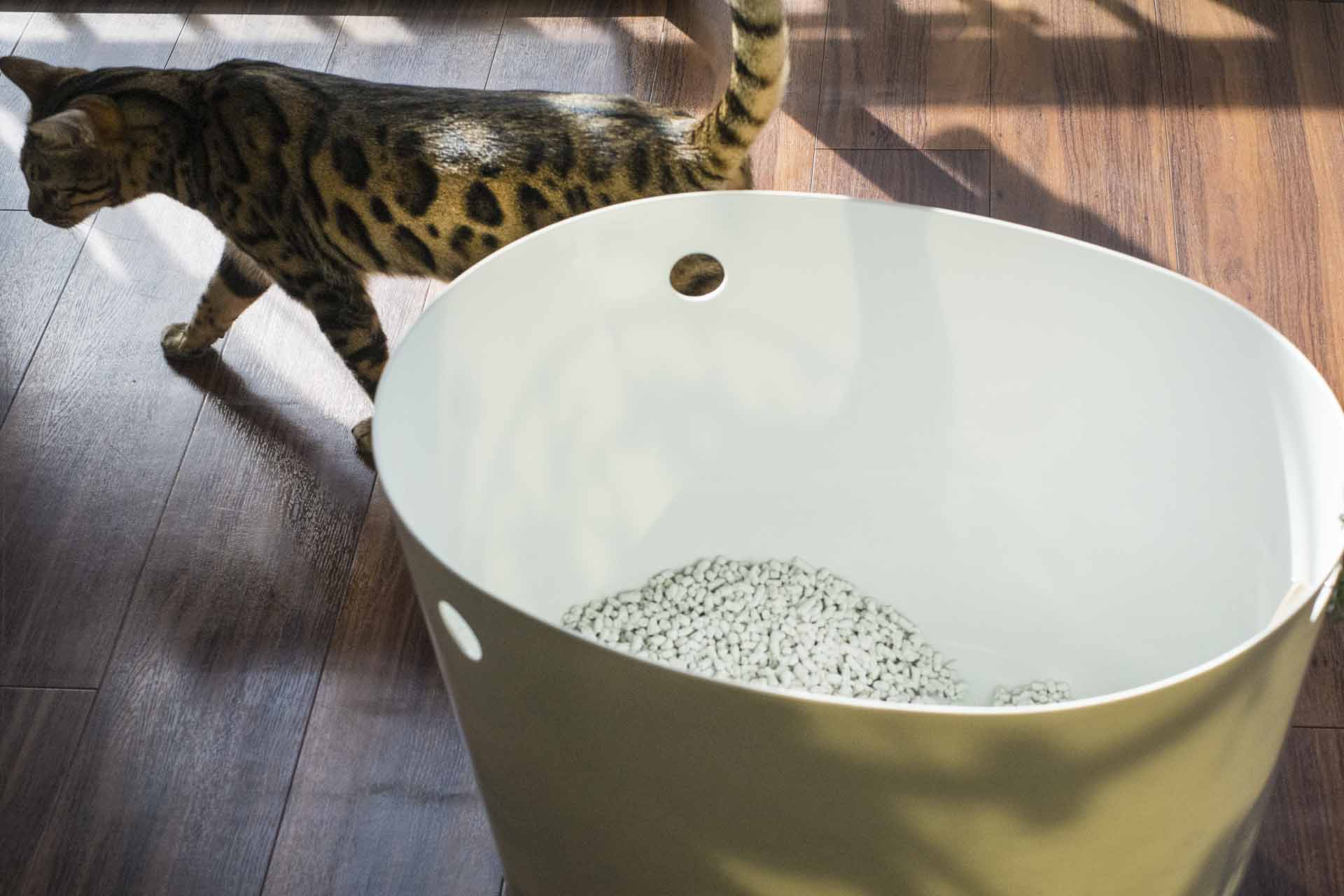 流せる猫砂でトイレつまりは起きない？