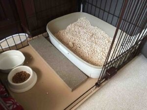 猫砂は本当にトイレに流せる？トイレつまり時の対処法を紹介！