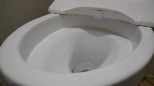 トイレの水がなくなるとなぜ臭い？封水切れや水位が低い原因を解説