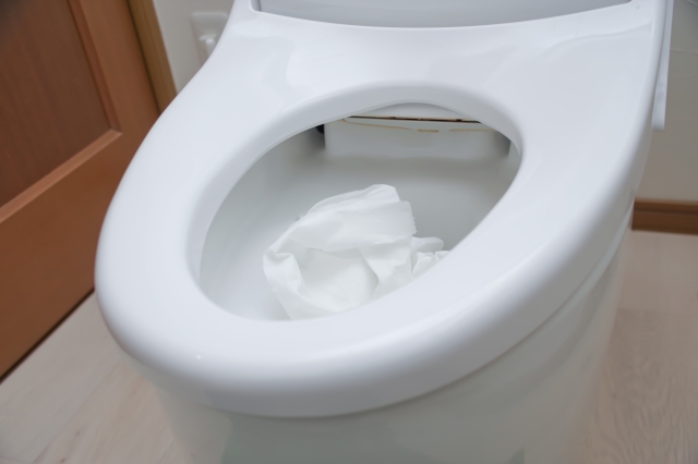 トイレに異物がつまっていないか判断する方法 