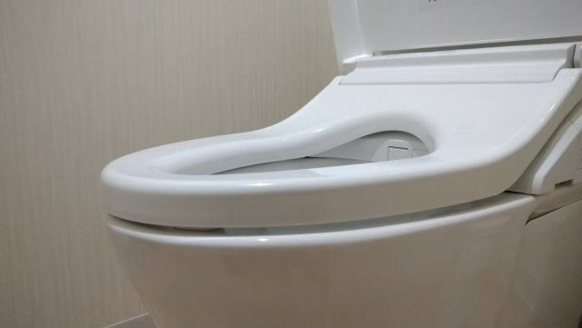 トイレに流してしまった異物は手で取る 