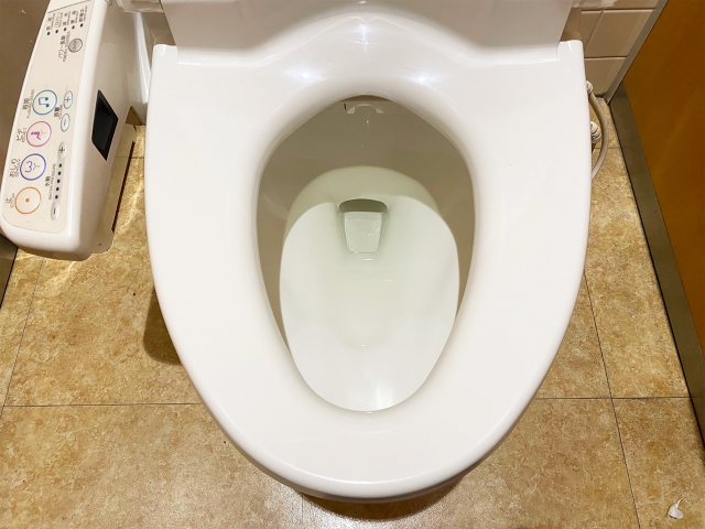 シンクロフィットがトイレにつまった場合の対処法