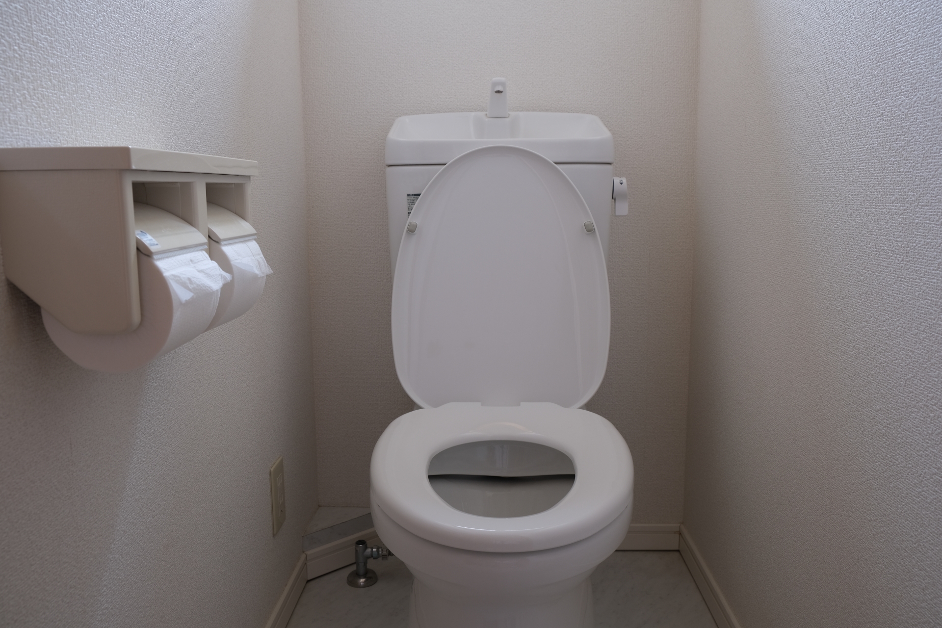 トイレを流していいか迷ったときの判断基準 
