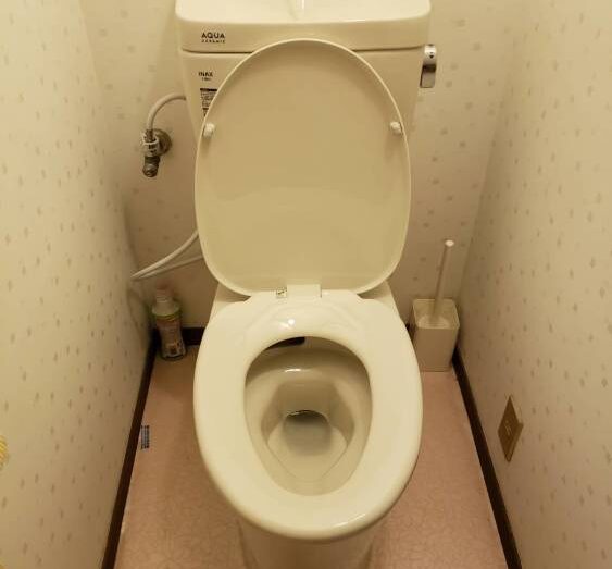 トイレの詰まりと古さを解消！便器交換で快適リフレッシュ / 愛知県名古屋市 施工写真1