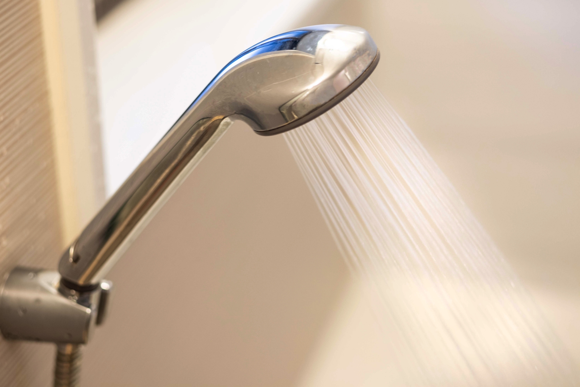 シャワーホース・ヘッド交換はどこに頼む?費用と判断ポイントを解説 2 シャワーホース・ヘッド交換はどこに頼む?