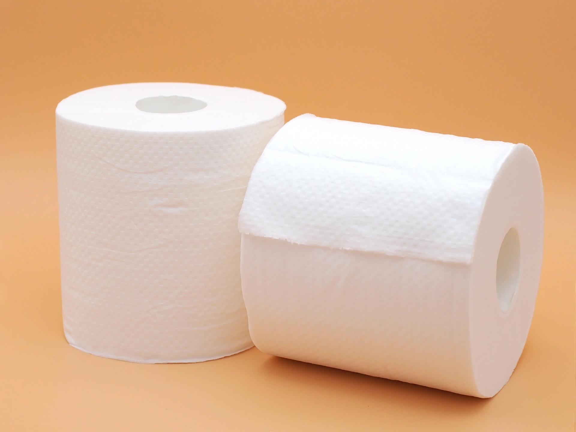 【30秒診断付】コストコのトイレットペーパーがつまる原因と対策 5 コストコのトイレットペーパーがつまったときの対処法