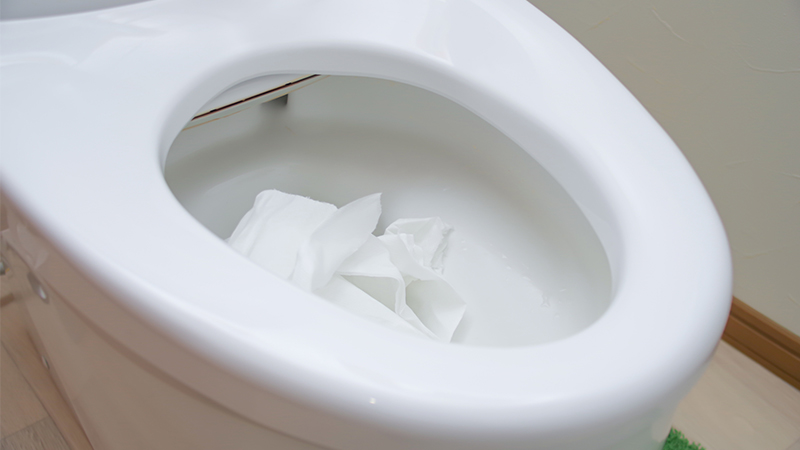 トイレに流してはいけないもの一覧|つまる理由と予防法まで徹底解説 4 トイレに流せるのは排泄物・トイレットペーパー・水の3つ