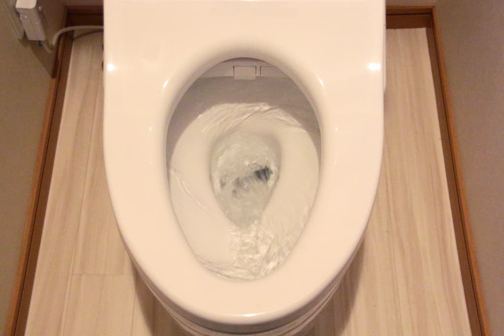 犬のうんちをトイレに流してはいけない!ペットの糞の特徴や流すリスク 4 ペットのうんちをトイレに流すのは推奨されていない