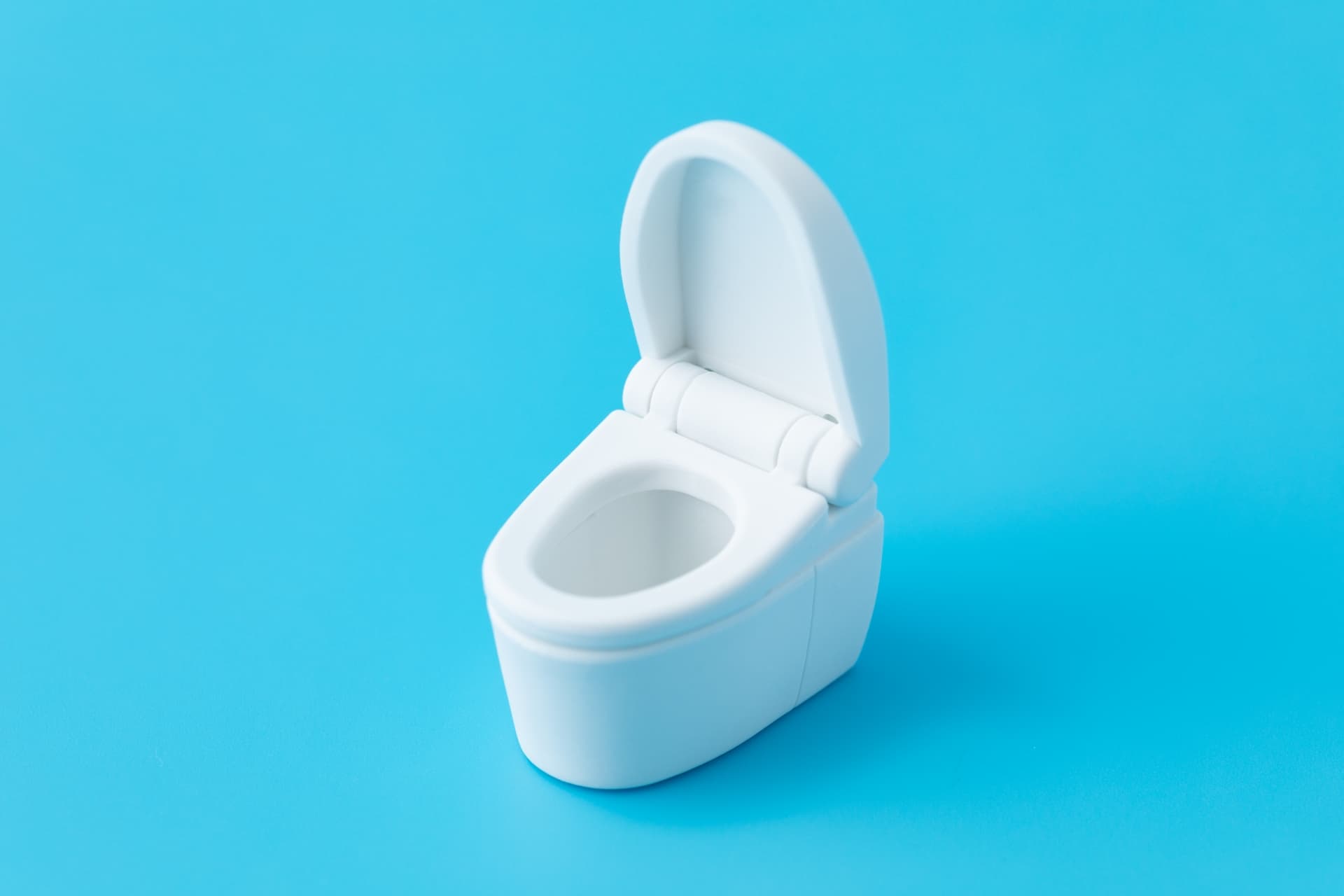 タンクレストイレは便座交換できる?費用や交換時期の目安を紹介 7 便座交換を業者に依頼する際の注意点