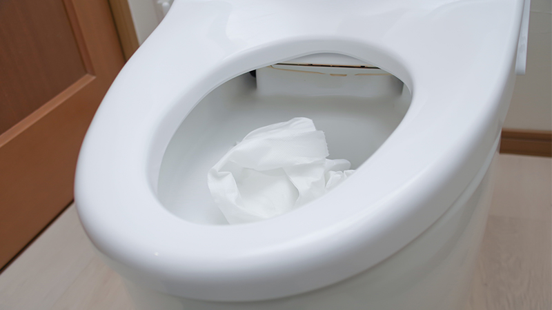 トイレに髪の毛を流すとどうなる?つまりのリスクと正しい対処法を解説 2 髪の毛でトイレがつまると起きる症状