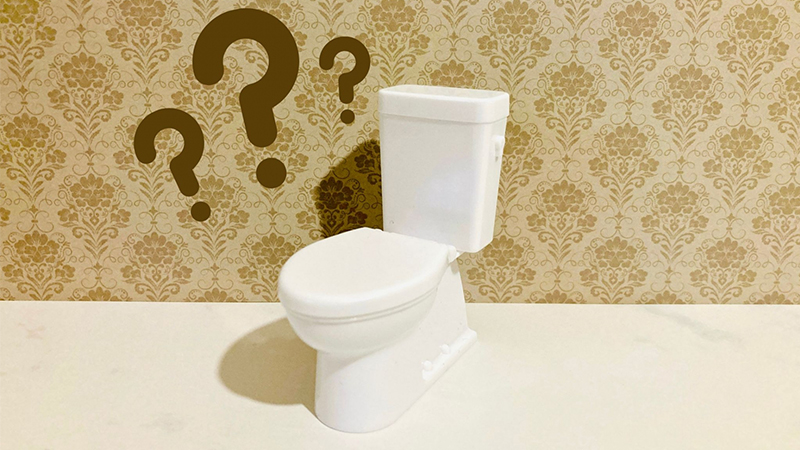 トイレに髪の毛を流すとどうなる?つまりのリスクと正しい対処法を解説 1 少量なら大丈夫?トイレに髪の毛を流すとどうなる?