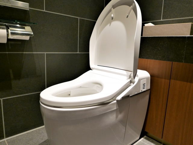 DCMのトイレリフォームを徹底解説!費用・プラン・特徴・依頼方法まとめ 6 DCMのトイレリフォームの注意点