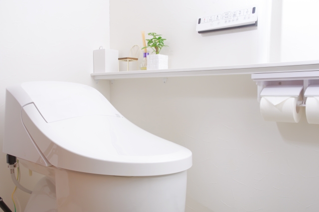 DCMのトイレリフォームを徹底解説!費用・プラン・特徴・依頼方法まとめ 5 DCMのトイレリフォームの特徴