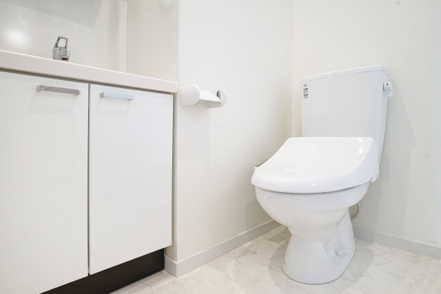 DCMのトイレリフォームを徹底解説!費用・プラン・特徴・依頼方法まとめ 1 DCMのトイレリフォーム内容